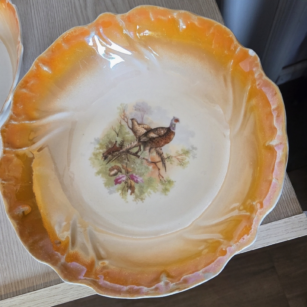 Vintage Set Of 2 RCW Bavaria Porcelain Pheasant Serving Bowl Orange & Multicolor